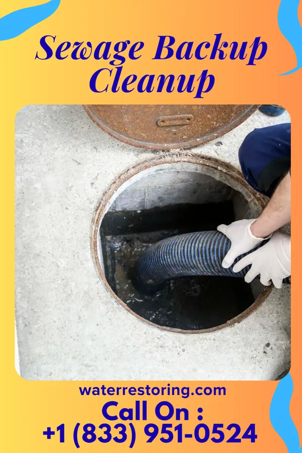 Sewage Backup Cleanup in Lincolnshire, IL